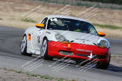 media/May-03-2024-PCA Central Coast (Fri) [[eaa7da0ee1]]/Red Group/Session 1 (Grapevine)/